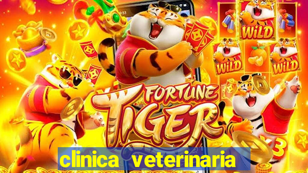 clinica veterinaria cuidar betim